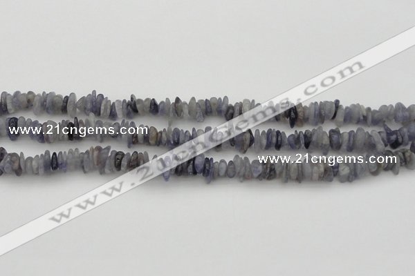 CCH658 15.5 inches 4*6mm - 5*8mm iolite gemstone chips beads