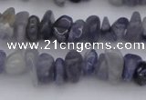 CCH659 15.5 inches 5*8mm - 6*10mm iolite gemstone chips beads