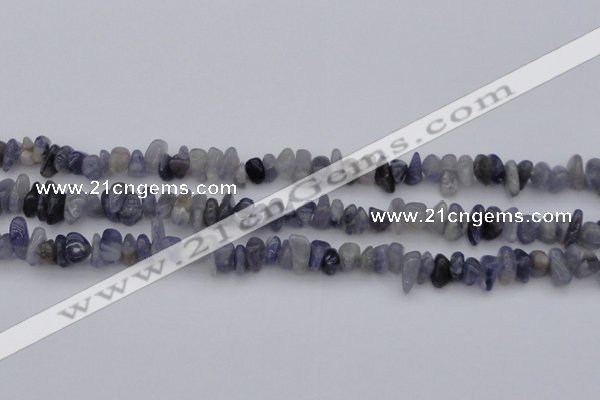 CCH659 15.5 inches 5*8mm - 6*10mm iolite gemstone chips beads