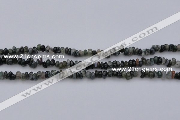 CCH663 15.5 inches 4*6mm - 5*8mm moss agate chips beads