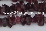 CCH704 15.5 inches 4*6mm - 6*8mm purple garnet chips beads