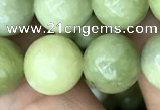 CCJ313 15.5 inches 10mm round China jade beads wholesale