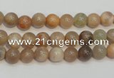CCS302 15.5 inches 6mm round natural sunstone beads wholesale