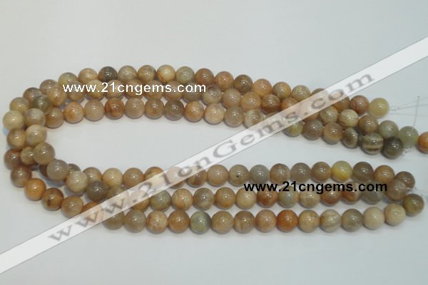 CCS304 15.5 inches 10mm round natural sunstone beads wholesale