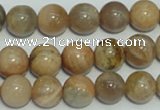 CCS305 15.5 inches 12mm round natural sunstone beads wholesale