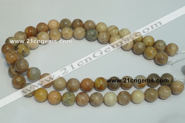 CCS306 15.5 inches 14mm round natural sunstone beads wholesale