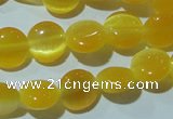 CCT455 15 inches 6mm flat round cats eye beads wholesale