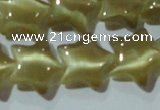 CCT866 15 inches 10mm star cats eye beads wholesale