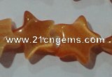 CCT896 15 inches 12mm star cats eye beads wholesale