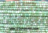 CCU1686 15 inches 2.5mm faceted cube Australia chrysoprase beads