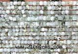 CCU1697 15 inches 2.5mm faceted cube tree agate beads