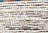 CCU1718 15 inches 2.5mm faceted cube pink queen conch shell beads