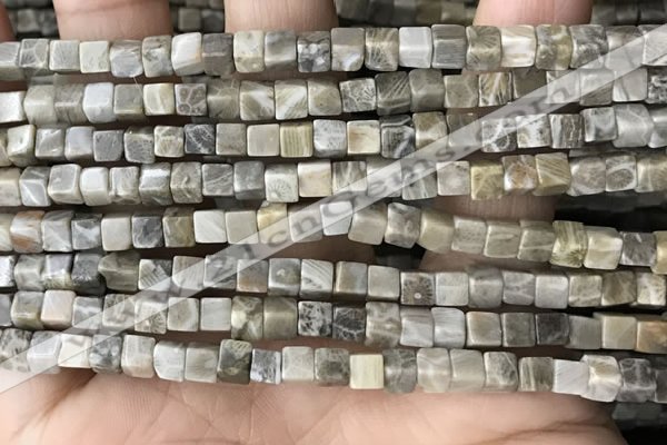 CCU458 15.5 inches 4*4mm cube fossil coral beads wholesale