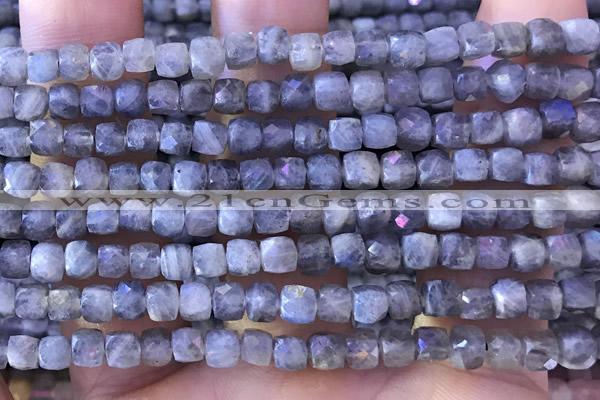 CCU808 15 inches 4mm faceted cube labradorite beads