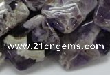 CDA06 15.5 inches 18*25mm rectangle dogtooth amethyst quartz beads