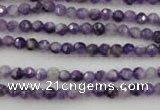 CDA150 15.5 inches 4mm faceted round dogtooth amethyst beads