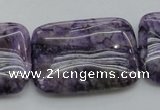 CDA312 15.5 inches 25*35mm rectangle dyed dogtooth amethyst beads