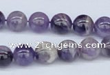 CDA53 15.5 inches 10mm round dogtooth amethyst beads wholesale