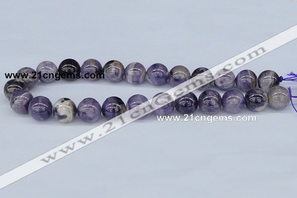 CDA56 15.5 inches 16mm round dogtooth amethyst beads wholesale