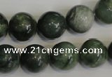 CDJ16 15.5 inches 14mm round Canadian jade beads wholesale