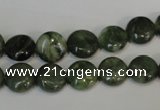 CDJ26 15.5 inches 10mm flat round Canadian jade beads wholesale