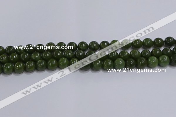 CDJ273 15.5 inches 10mm round Canadian jade beads wholesale