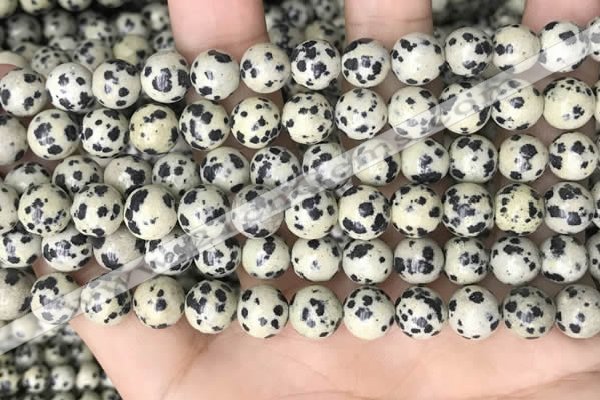 CDM93 15.5 inches 10mm round dalmatian jasper beads wholesale