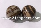 CDN1291 40mm round zebra jasper decorations wholesale
