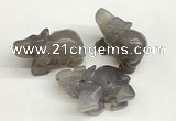 CDN403 25*50*35mm elephant grey agate decorations wholesale