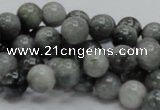 CEE05 15.5 inches 10mm round eagle eye jasper beads wholesale