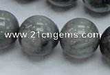 CEE08 15.5 inches 20mm round eagle eye jasper beads wholesale