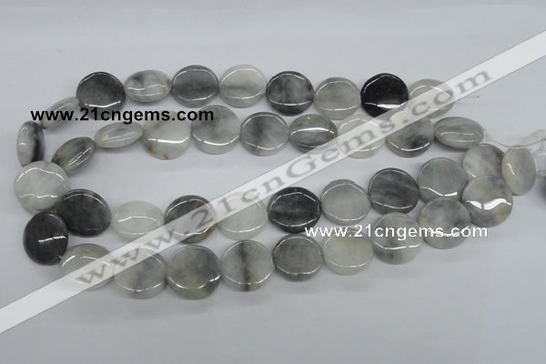 CEE203 15.5 inches 20mm flat round eagle eye jasper beads