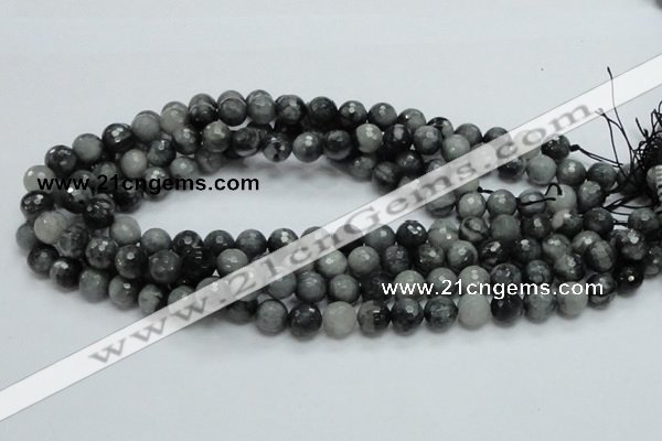 CEE21 15.5 inches 10mm faceted round eagle eye jasper beads wholesale