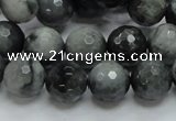 CEE22 15.5 inches 12mm faceted round eagle eye jasper beads wholesale