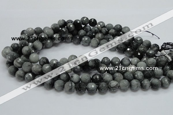 CEE22 15.5 inches 12mm faceted round eagle eye jasper beads wholesale