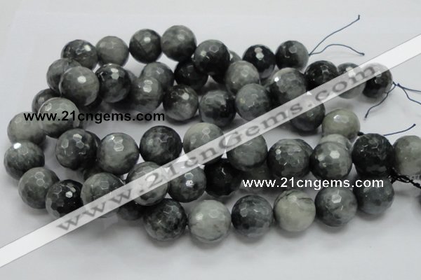 CEE25 15.5 inches 20mm faceted round eagle eye jasper beads wholesale