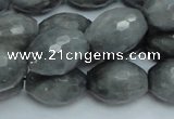 CEE30 15.5 inches 15*20mm faceted rice eagle eye jasper beads