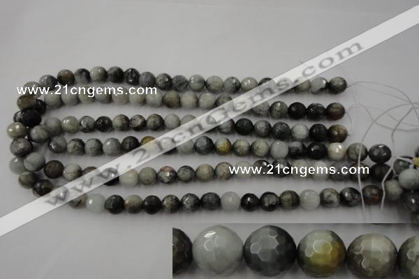 CEE353 15.5 inches 10mm faceted round eagle eye jasper beads