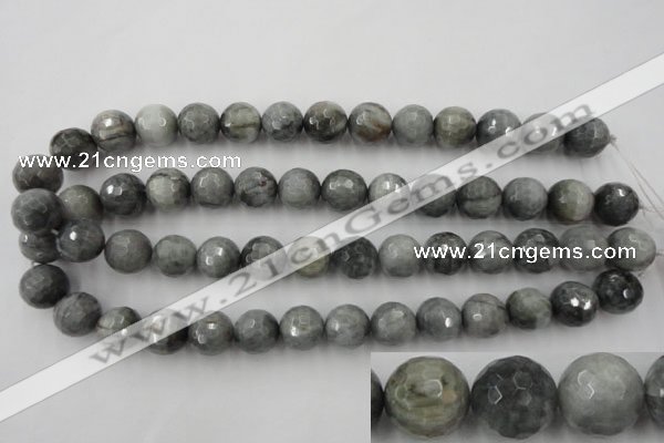 CEE355 15.5 inches 14mm faceted round eagle eye jasper beads