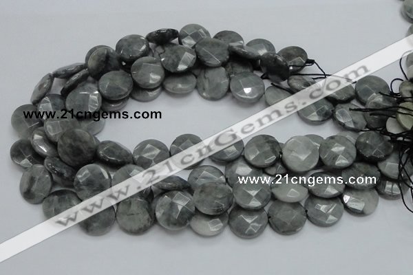 CEE38 15.5 inches 20mm faceted coin eagle eye jasper beads wholesale