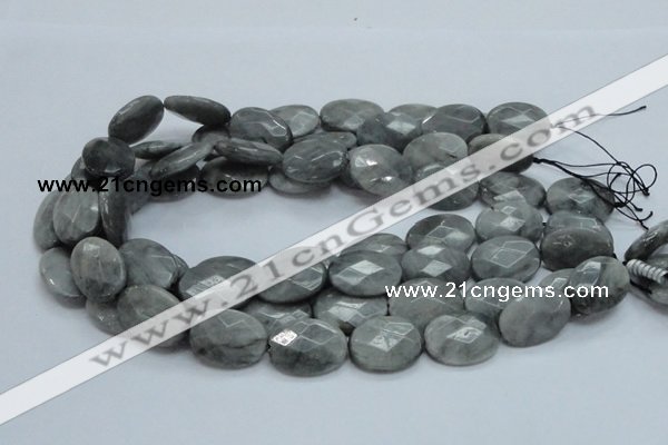 CEE43 15.5 inches 18*25mm faceted oval eagle eye jasper beads