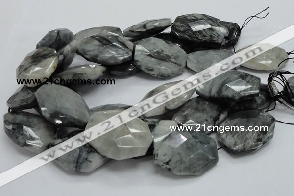 CEE47 15.5 inches 32*40mm faceted freeform eagle eye jasper beads
