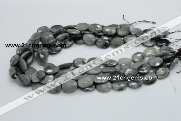 CEE51 15.5 inches 8*12mm faceted oval eagle eye jasper beads