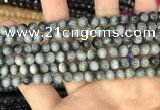 CEE510 15.5 inches 6mm round eagle eye jasper beads