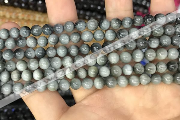 CEE510 15.5 inches 6mm round eagle eye jasper beads