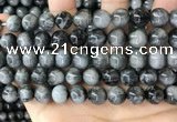 CEE543 15.5 inches 10mm round eagle eye jasper gemstone beads