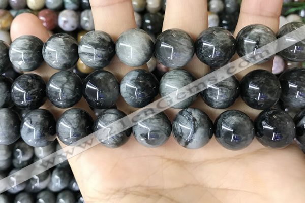 CEE545 15.5 inches 14mm round eagle eye jasper gemstone beads