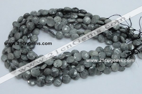 CEE57 15.5 inches 10mm faceted coin eagle eye jasper beads