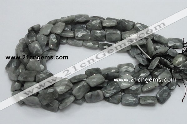 CEE59 15.5 inches 8*12mm faceted rectangle eagle eye jasper beads