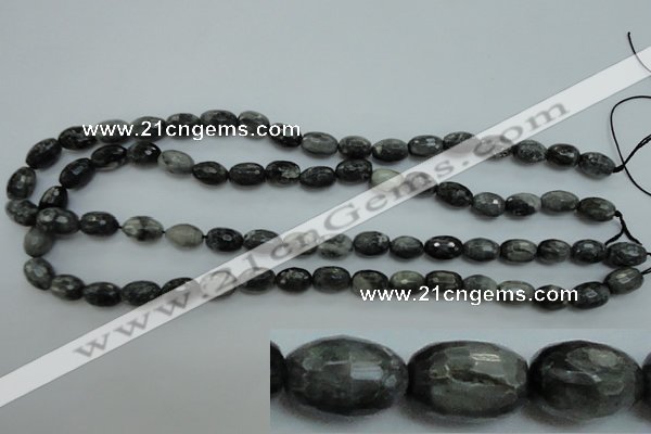 CEE71 15.5 inches 8*12mm faceted rice eagle eye jasper beads